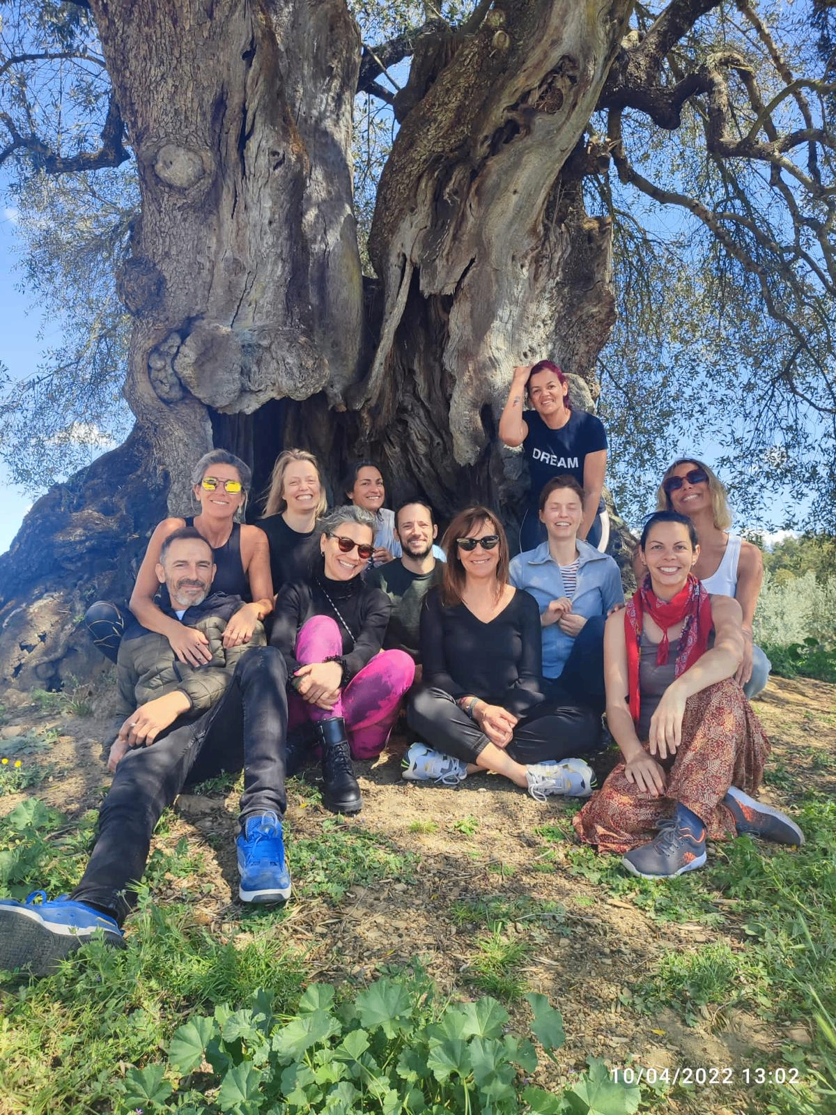 Grupo sob oliveira centenária